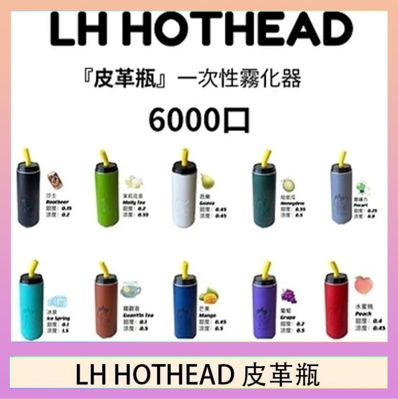 LH HOTHEAD皮革 LH HOTHEAD皮革瓶電子煙可充電6000口一次性